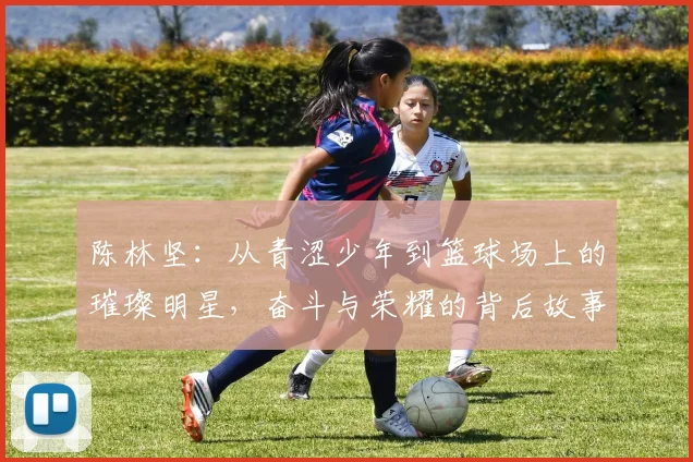 陈林坚：从青涩少年到篮球场上的璀璨明星，奋斗与荣耀的背后故事